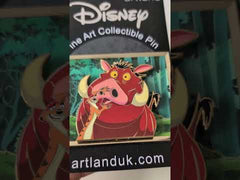 Pumbaa & Timon Stained Glass